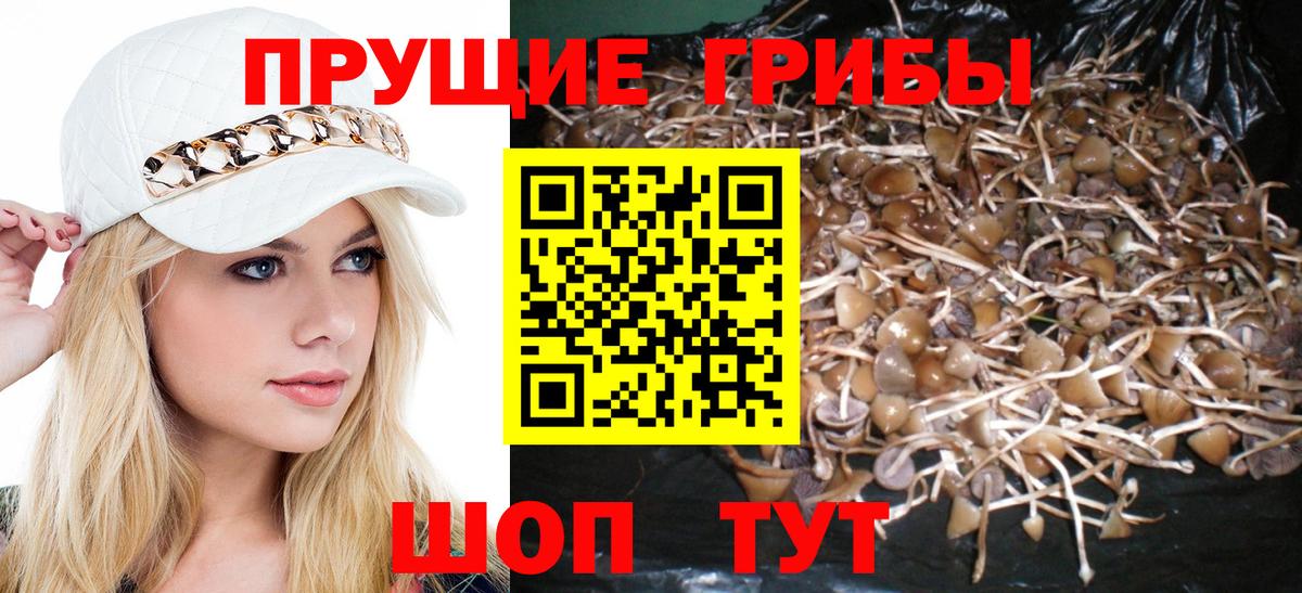 Галлюциногенные грибы MAGIC MUSHROOMS Котлас