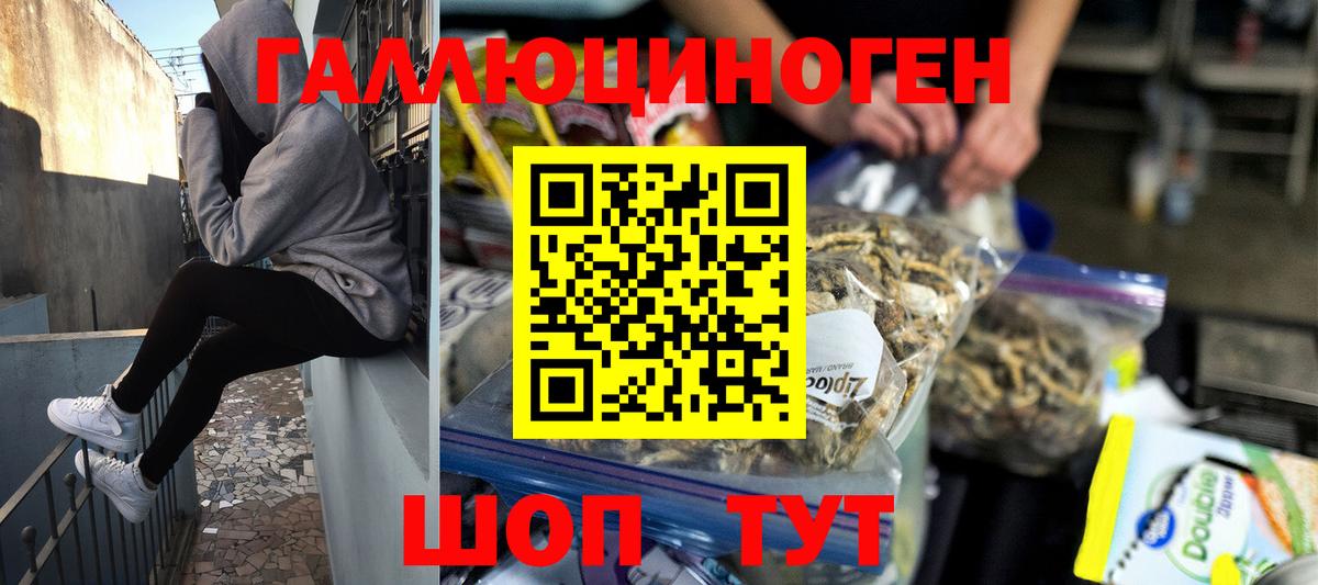 Галлюциногенные грибы Psilocybine cubensis  Вход с VPN  Котлас 