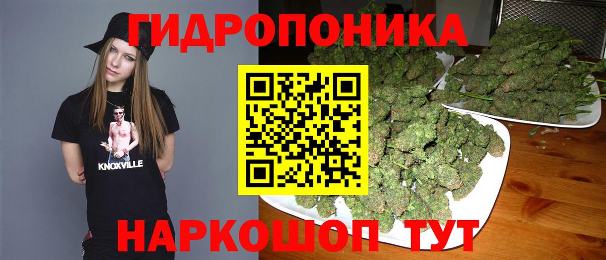 Котлас  Бошки марихуана тримм  Шишки марихуана ГИДРОПОН  Вход с VPN  Канабис сатива  Каннабис MAZAR 